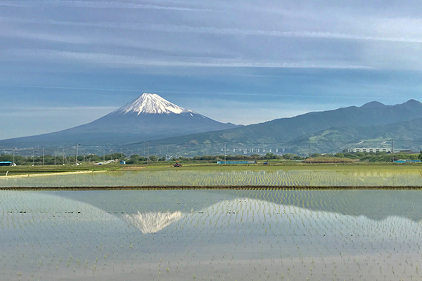 富士山がキレイに見える