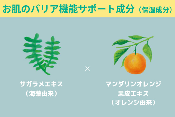 お肌のバリア機能サポート成分（保湿成分）サガラメエキス（海藻由来）×マンダリンオレンジ果皮エキス（オレンジ由来）